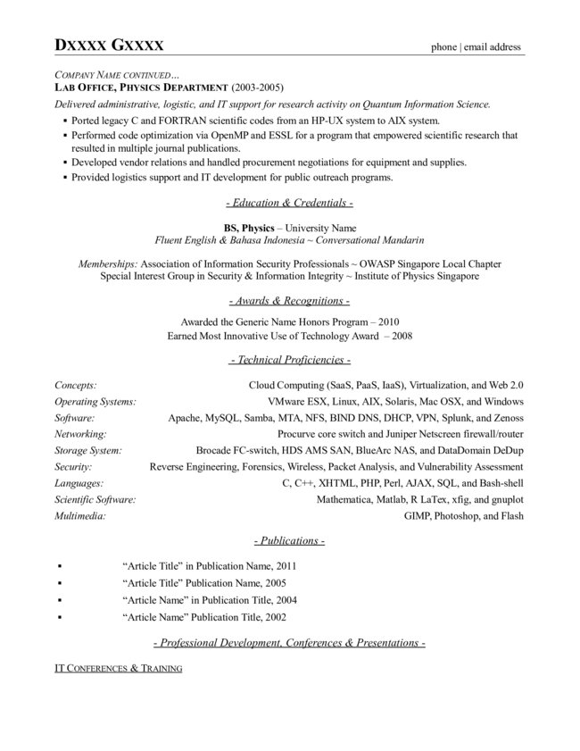 IT Executive Sample CV Page 2 WorkAlpha   IT Executive Sample CV Page 2 